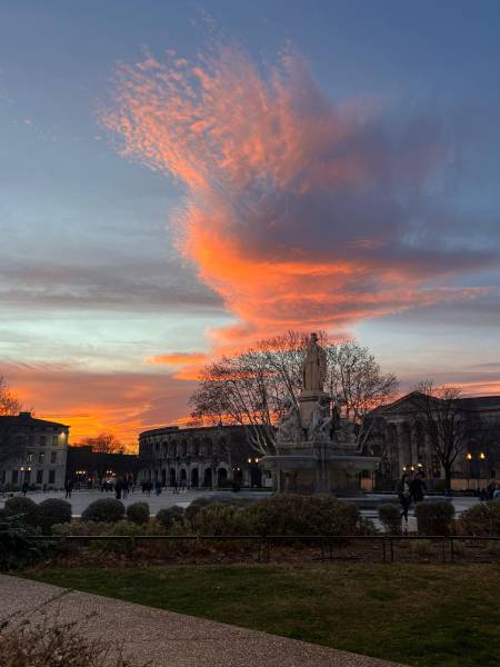 Avocat, notaire, expert-comptable publiez une annonce légale de société à Nîmes, dans le Gard et en France